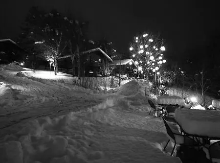 Village Поллен