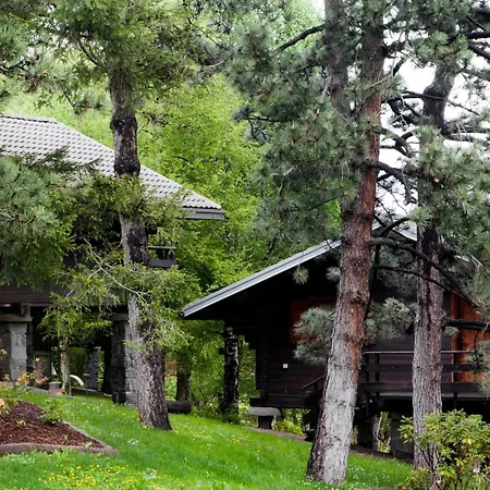 Village Поллен